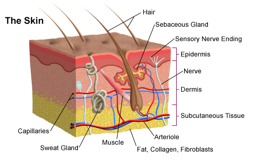 Cosmetic Acupuncture #02