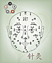 Cosmetic Acupuncture #01